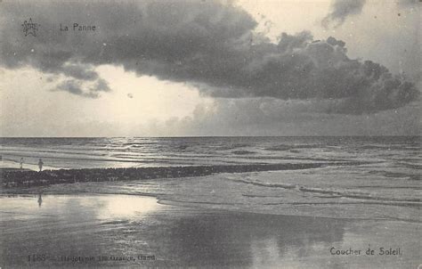 Escort à De Panne (Flandre Occidentale) 